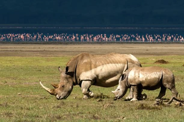 Nakuru