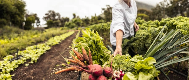 Climate-Smart Agriculture Short Courses