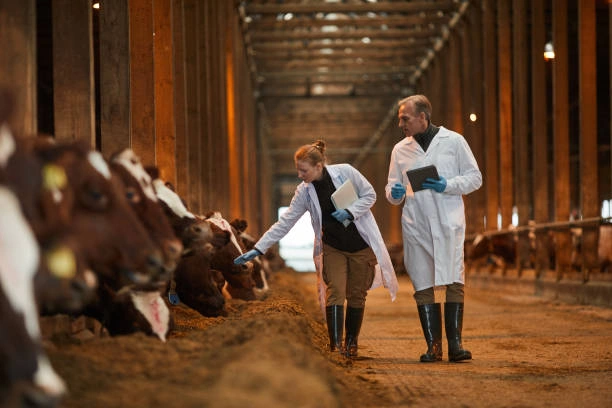 Livestock and Animal Health Short Courses